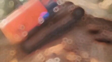 Sếp ơi, lần này đào được thứ còn cổ xưa hơn cả đồ cổ luôn!