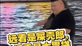 从现场观众的笑声就能感觉到粉丝对良子的崇拜。