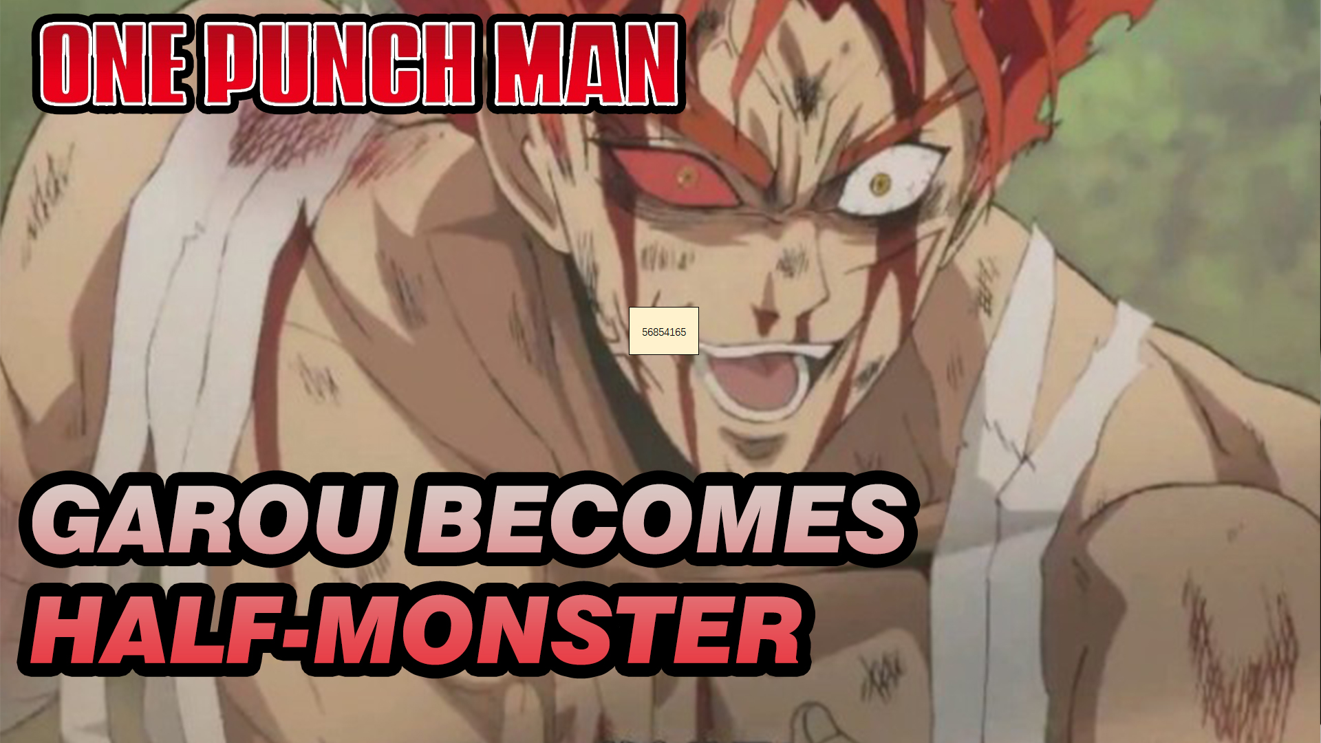 HOW and WHY GAROU becomes a Monster in One Punch Man 