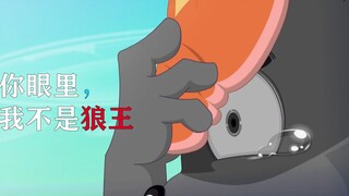 A little sheep adventure.