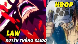 Law xuyên thủng cơ thể Kaido cứu Joyboy? - Hạm đội Mũ Rơm đến Wano? - Hỏi đáp One Piece #24