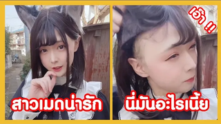 สาวเมดช่างน่ารัก เดี๋ยวนะกับดักหรอเนี้ย !! ( ฮัลโหลความฮา )