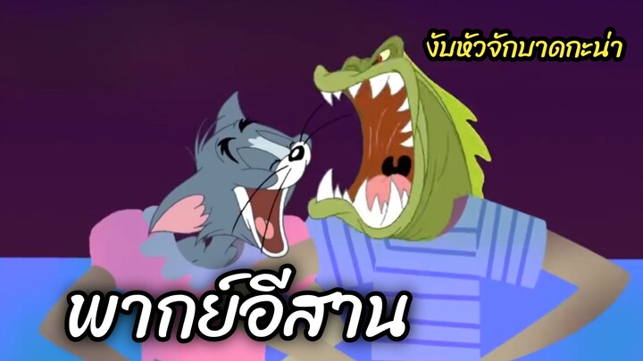 ทอมแอนด์เจอร์รี่ พากย์อีสาน ปลาจอมโหด