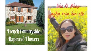 French Country House! Fleur de Colza|mùa hoa cải Nhà ở Pháp tuyệt đẹp với mùa hoa cải| Cathy Gerardo