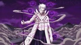 [ Naruto ] Visual Feast of Taijutsu!