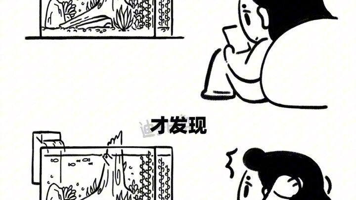 اكتسب طفولتك، وضِّح جاذبيتك!