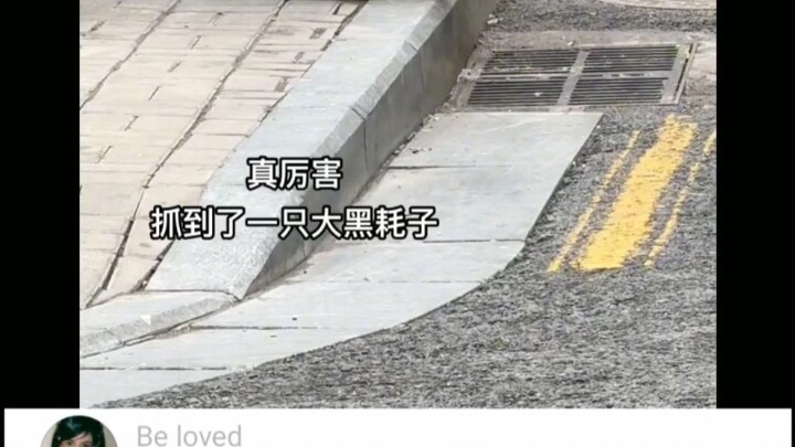 哈哈这波操作都看傻了