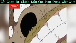 Cắt chân để chiến đấu, ai ngầu như Zoro