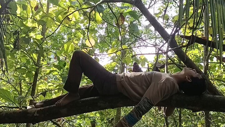 kehidupan di hutan#zaintemanime #nature #hutan #explore #mindfulness #fyp #jowo #wongjowo