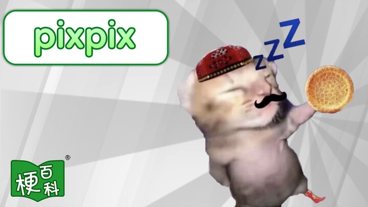 [Internet Slang Encyclopedia] What’s the “PixPix” meme?