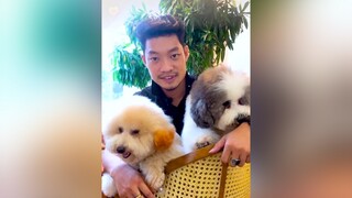 Hẹn hò cùng 2 bé Poodle idol tiktok dcgr tuitienpet LearnOnTikTok poodle