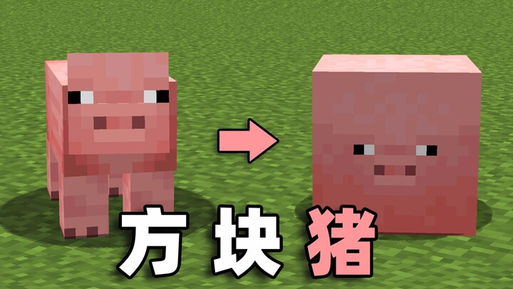 Tôi đã biến chú lợn thành một khối vuông! Thật không thể tin được!