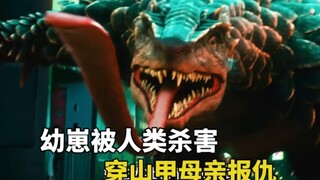 穿山甲幼崽被人类合力杀死，母亲对人类发出惨烈报复