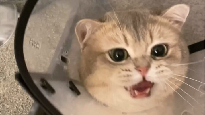 Lousy at everything else, but a total champ at arguing with Mom 👍🏻