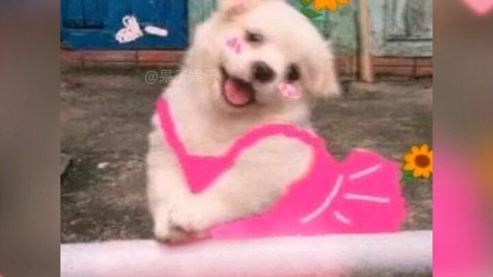 Saya pikir mereka tahan beku.