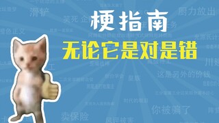 无论它是对是错是什么梗【梗指南】