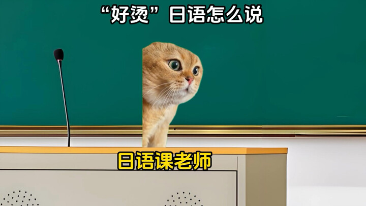 【Meme kucing Li Ruzhi】Video terbaru sudah online, ayo segera lihat!