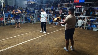 2hits sa new elorde cockpit arena talisay 2x champion 🏆