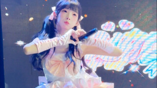 『Light196』 لقطات مباشرة من البث المباشر لـ Kokorokara Idol Utopia في 2025.5.3