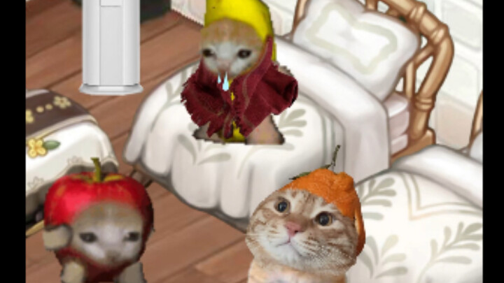 Mèo chuối cuối tháng