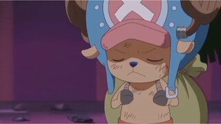 Misi penyelamatan brook dari tangan bigmom