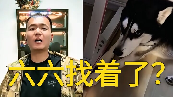 Pan Hong’s Live Stream Connects with Liu Liu!