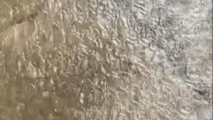 Fish Girl and Night Watchman Team Up to Help the Blind Girl