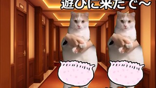 【熟/猫meme】全裸被关在门外面时的故事