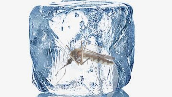 Kids, I’m starting to thaw out too!