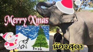 🐘น้องสุดาวาดรูปMerry X’mas☃️