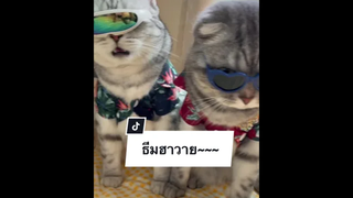 สตรีทฟู้ดคือกินข้าวข้างทาง แต่ถ้าเธอว่าง เราอยากกินข้าวข้างเธอ
