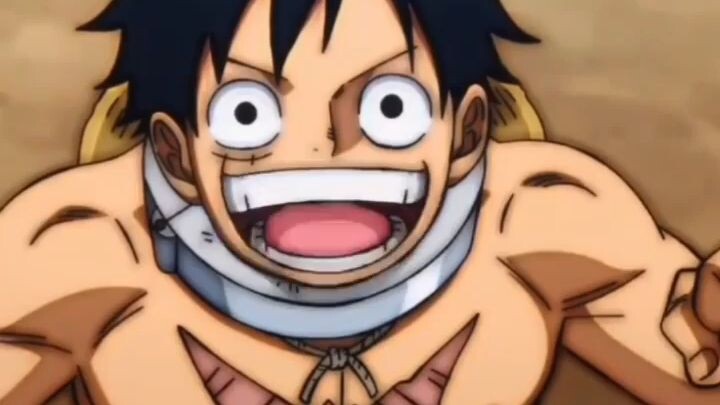 Film Terbaik One piece