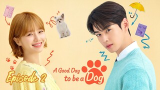 🇰🇷 EP.2 - A Good Day to Be a Dog 2023 [EngSub]