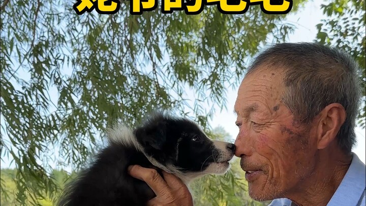 Grandpa’s fluffball “is back”