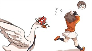 [Đi dạo cùng trăng non] Hãy tặng 1.000 yên cho hơn một nghìn người