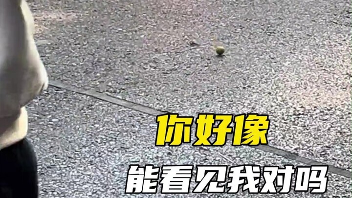 يبدو أنك تستطيع رؤيتي، أليس كذلك؟