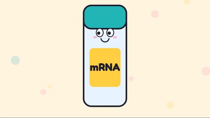 the-mrna-recipe