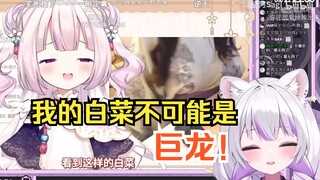 憨憨狮子看日本萝莉展示巨龙，难以置信，疯狂吐槽w