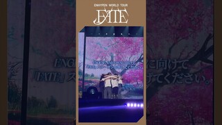 [#EN_Clip] This is for you♥️#엔하이픈 #ENHYPEN #EN_WORLDTOUR_FATE #FATE_IN_TOKYO #TOKYO_DOME