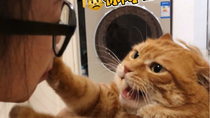 In my heart, no matter what kind of cat you are, I love you.