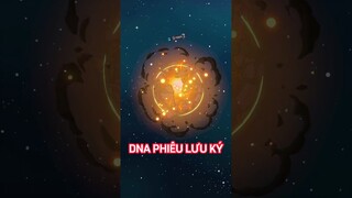 DNA phiêu lưu ký (Phần 1) #shorts #trithucplus #trithuc