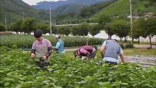 GBRB: REAP WHAT YOU SOW EP2