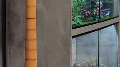 Một phút, một phát súng kết thúc, đưa bạn xuyên qua thế giới của những Pokémon có tỷ lệ