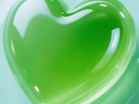 العشيق الخارجي للجنوب