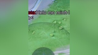 Ơ kìa 🥲lycute lienquantiktok lienquanmobile_garena