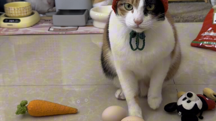 One tomato calls for two eggs!