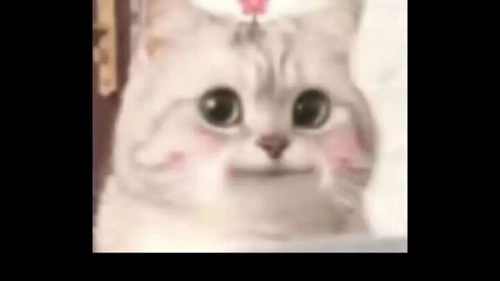 Cat: You know, I’ve been away from my mom since I was a kid.