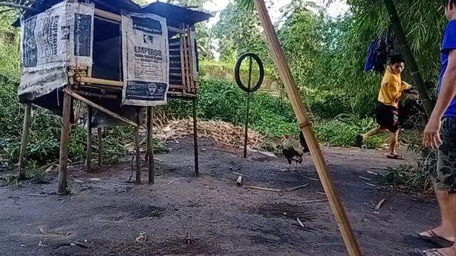 testfight malapit na laban nyo,,