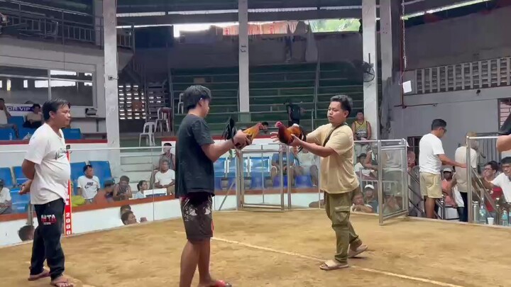 Golden boy sweater 2x winner 2nd fight ( 2 hits ulutan ) CHAMPION 🏆