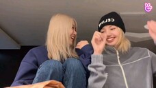 Chaelisa Vlive - Lisa is Hungry.